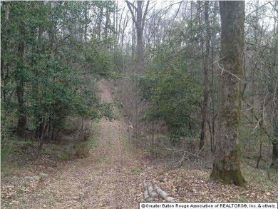 Road leading to home site