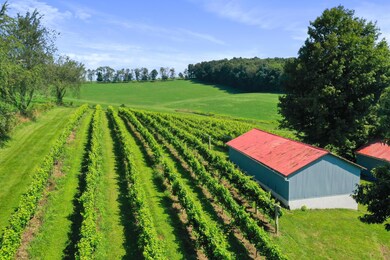 26367 Danville Amity Rd, Danville, OH 43014 - photo 4