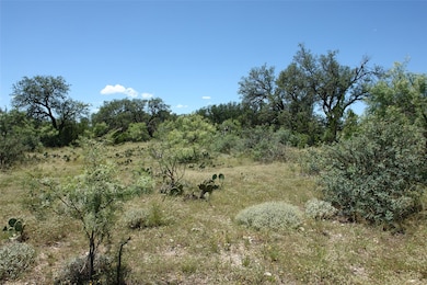 View of local wilderness