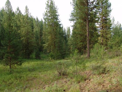 Rolling, Sloped Terrain