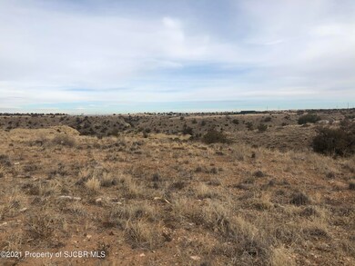 NYA Road 3775, Farmington, NM 87401 - photo 7