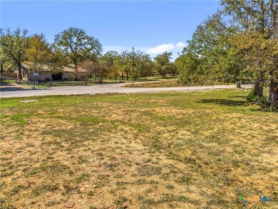 2100 Cedar Valley Dr, Kingsland, TX 78639 - photo 4