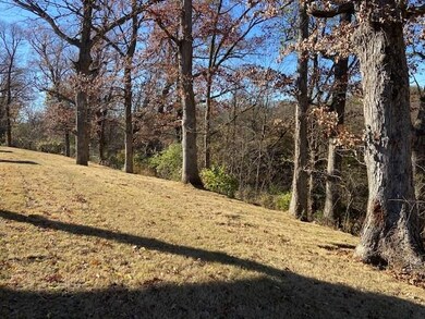 1354 Bay Ave, Springdale, AR 72764 - photo 3