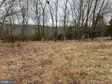 0 Quantico Trail Bantry Way unit WVGT2000778, Maysville, WV 26833 - photo 4