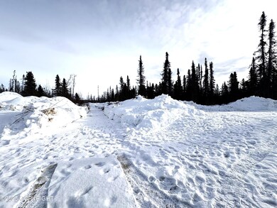 GOV S Leroy Davies Rd, Talkeetna, AK 99676 - photo 4