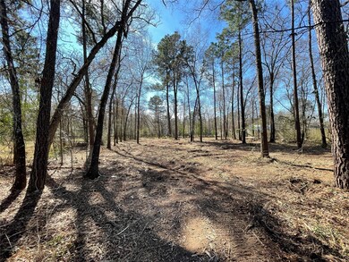 0 Bob White St, Conroe, TX 77385 - photo 5