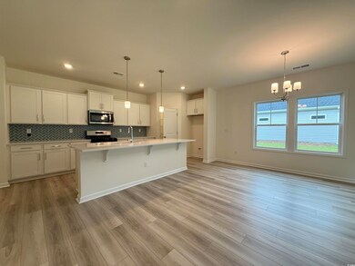 316 Palmetto Sand Loop unit Lot 13 Bailey D, Conway, SC 29527 - photo 2