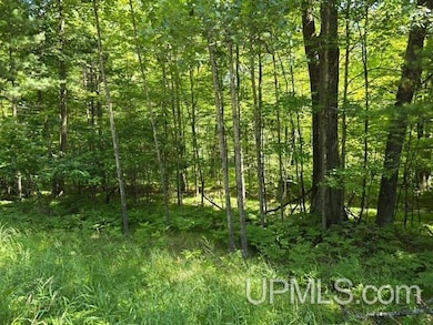 TBD Quinnesec Lake Antoine Rd, Iron Mountain, MI 49801 - photo 2