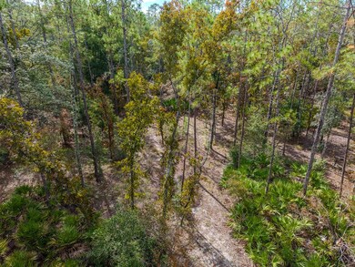 LOT 61 NE 899th St, Old Town, FL 32680 - photo 7