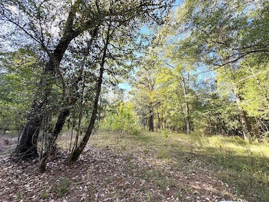 2080 County Road 1100, Woodville, TX 75979 - photo 7