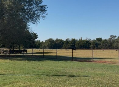 Pipe and cable fenced livestock pens in back yard