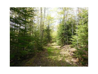 Other. Mostly Wooded