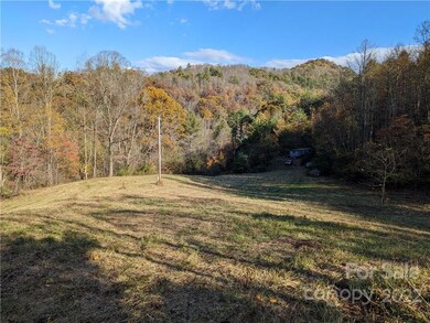 3703 Us Highway 19w, Burnsville, NC 28714 - photo 7
