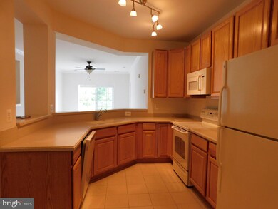 700 Cattail Cove, Cambridge, MD 21613 - photo 4