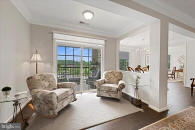 510 Quarry View Ct unit 407, Reisterstown, MD 21136 - photo 5