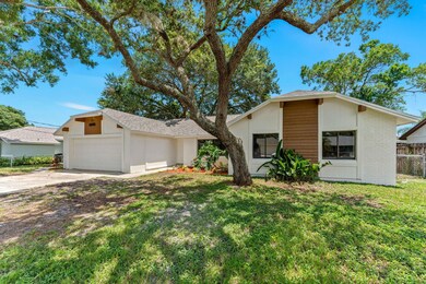 2-web-or-mls-DSC00847