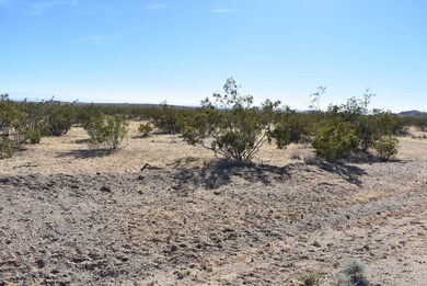 0 Whitmore Ave W O San Jose St unit 25009180, California City, CA 93505 - photo 4