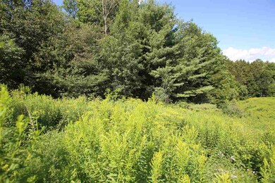 294 Vermont 64 unit Lot 2, Northfield, VT 05663 - photo 6