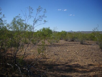 ANOTHER VIEW OF LOT