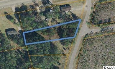 249 Royals Cir unit Holly plan - Lot 4, Conway, SC 29526 - photo 3