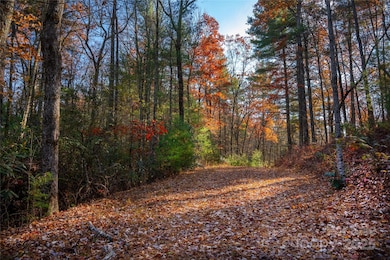TBD S Fork Trail, Lake Toxaway, NC 28747 - photo 3