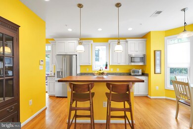 8610 Lancaster Dr, Bethesda, MD 20814 - photo 6