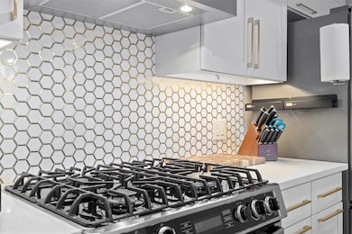 Barton Place unit 4205, Austin, TX 78704 - photo 5