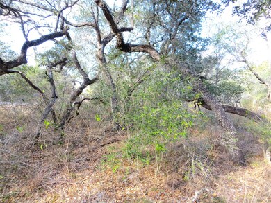 1078 Indian Cir, Altair, TX 77442 - photo 3