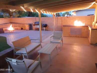 Back Yard (1)
