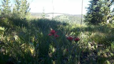 TBD Watershed Rd, Big Sky, MT 59716 - photo 7