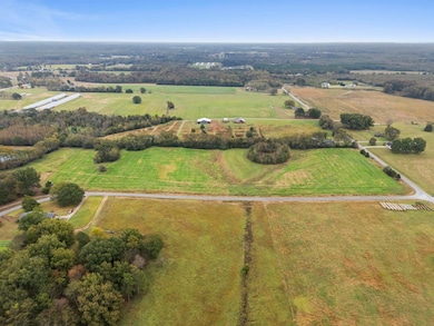 000 County Road 161, Moulton, AL 35650 - photo 5