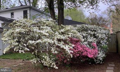 2116 Reynolds St, Falls Church, VA 22043 - photo 6