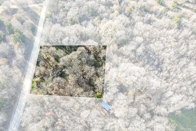 823 SE County Road 3048, Mildred, TX 75109 - photo 7