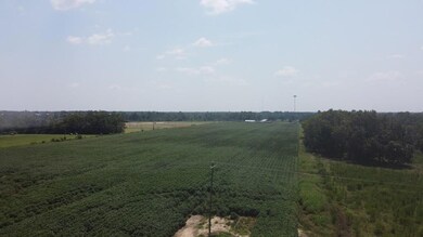 4994 Freeman Rd, Blakely, GA 39823 - photo 2