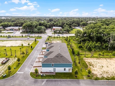 1145 Red Buckeye Ct, Deland, FL 32720 - photo 5