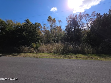 000 Par Road 3-75-10, Arnaudville, LA 70512 - photo 4