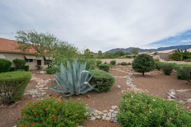 Lush low care landscaping