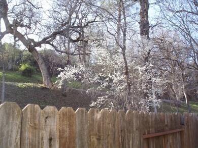 Back Fence