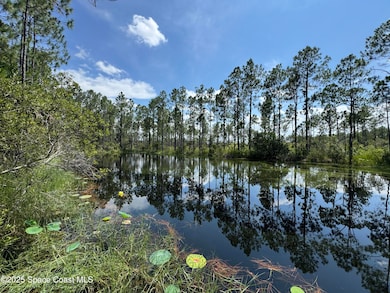 4300 Justa Rd, Mims, FL 32754 - photo 3