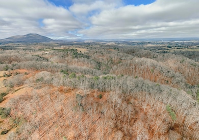 3909 Hodge Hollow Rd, Pulaski, VA 24301 - photo 5