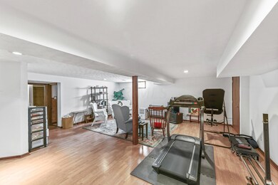Finished Lower Level