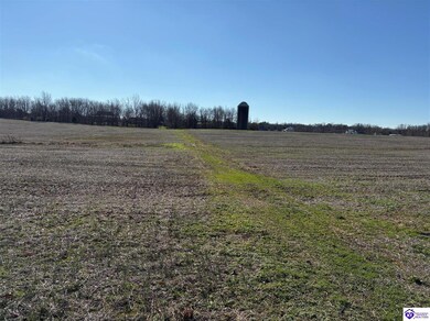 250 Owl Creek Dr, Vine Grove, KY 40175 - photo 4