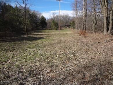 5185 E 96th St, Newaygo, MI 49337 - photo 5