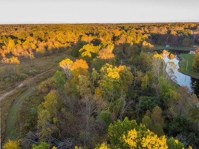 8840 Houston Rd, Eaton Rapids, MI 48827 - photo 4