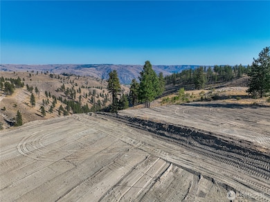 0 Evergreen Camp Rd Parcel C, Chelan, WA 98816 - photo 4