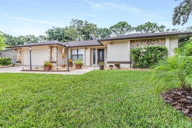 3404 Brian Rd S, Palm Harbor, FL 34685 - photo 4