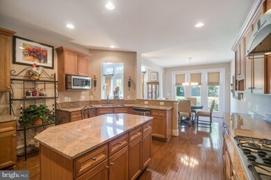 43673 Palmetto Dunes Terrace, Leesburg, VA 20176 - photo 7