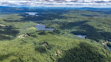 TBD Youngs Rd, Eaton, NH 03849 - photo 5