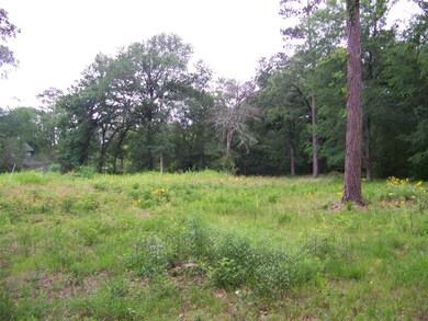 25163 Lakeside Dr, Hockley, TX 77447 - photo 3