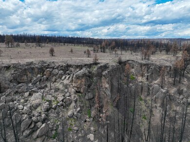 Forest Service Rd 3745, Burns, OR 97720 - photo 3